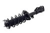 1333969R Suspension Strut and Coil Spring Assembly - image 3