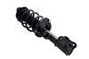 1333971L Suspension Strut and Coil Spring Assembly - image 2