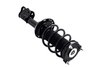 1333971L Suspension Strut and Coil Spring Assembly - image 4