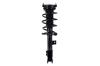 1333971R Suspension Strut and Coil Spring Assembly - image 1