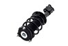 1333971R Suspension Strut and Coil Spring Assembly - image 3