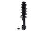 1333981L Suspension Strut and Coil Spring Assembly - image 1