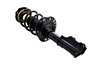 1333984L Suspension Strut and Coil Spring Assembly - image 2
