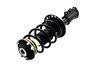 1333984L Suspension Strut and Coil Spring Assembly - image 3