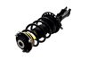 1333984R Suspension Strut and Coil Spring Assembly - image 2