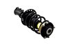 1333984R Suspension Strut and Coil Spring Assembly - image 3