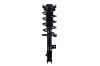 1333985R Suspension Strut and Coil Spring Assembly - image 1