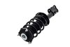 1333985R Suspension Strut and Coil Spring Assembly - image 3