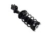 1333985R Suspension Strut and Coil Spring Assembly - image 4