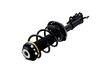 1333987L Suspension Strut and Coil Spring Assembly - image 3