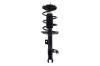 1334010R Suspension Strut and Coil Spring Assembly - image 1