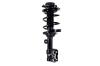 1334012L Suspension Strut and Coil Spring Assembly - image 1