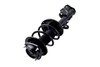 1334012L Suspension Strut and Coil Spring Assembly - image 3