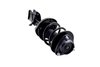 1334012L Suspension Strut and Coil Spring Assembly - image 4