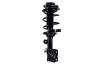 1334012R Suspension Strut and Coil Spring Assembly - image 1