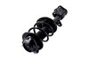 1334012R Suspension Strut and Coil Spring Assembly - image 3