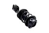 1334012R Suspension Strut and Coil Spring Assembly - image 4
