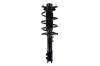 1334047L Suspension Strut and Coil Spring Assembly - image 1