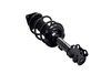 1334047L Suspension Strut and Coil Spring Assembly - image 2