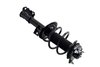 1334047L Suspension Strut and Coil Spring Assembly - image 4