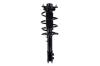 1334047R Suspension Strut and Coil Spring Assembly - image 1