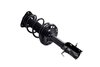 1334048L Suspension Strut and Coil Spring Assembly - image 2