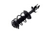 1334048L Suspension Strut and Coil Spring Assembly - image 3