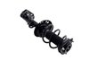 1334048L Suspension Strut and Coil Spring Assembly - image 4
