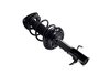 1334048R Suspension Strut and Coil Spring Assembly - image 2