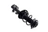 1334048R Suspension Strut and Coil Spring Assembly - image 4