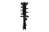 1334051L Suspension Strut and Coil Spring Assembly - image 1