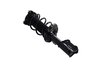 1334051L Suspension Strut and Coil Spring Assembly - image 2