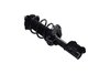 1334051R Suspension Strut and Coil Spring Assembly - image 2