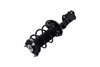 1334051R Suspension Strut and Coil Spring Assembly - image 3