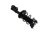 1334051R Suspension Strut and Coil Spring Assembly - image 4