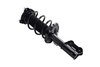 1334052L Suspension Strut and Coil Spring Assembly - image 2