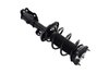 1334052L Suspension Strut and Coil Spring Assembly - image 4