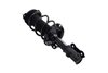 1334052R Suspension Strut and Coil Spring Assembly - image 2