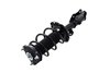 1334052R Suspension Strut and Coil Spring Assembly - image 3