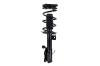 1334053L Suspension Strut and Coil Spring Assembly - image 1