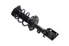 1334054L Suspension Strut and Coil Spring Assembly - image 2