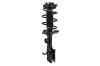 1334054R Suspension Strut and Coil Spring Assembly - image 1