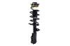 1334056L Suspension Strut and Coil Spring Assembly - image 1