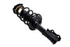 1334056L Suspension Strut and Coil Spring Assembly - image 2