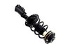 1334056L Suspension Strut and Coil Spring Assembly - image 4