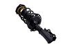 1334056R Suspension Strut and Coil Spring Assembly - image 2