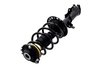 1334056R Suspension Strut and Coil Spring Assembly - image 3