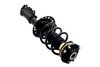 1334056R Suspension Strut and Coil Spring Assembly - image 4
