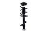 1334057L Suspension Strut and Coil Spring Assembly - image 1