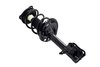 1334057L Suspension Strut and Coil Spring Assembly - image 2